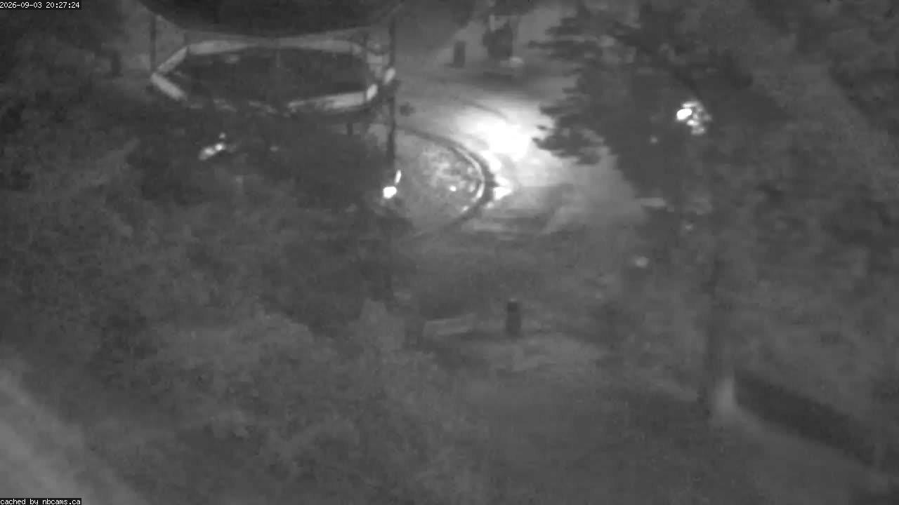 Web Cam image of Saint John (King's Square)