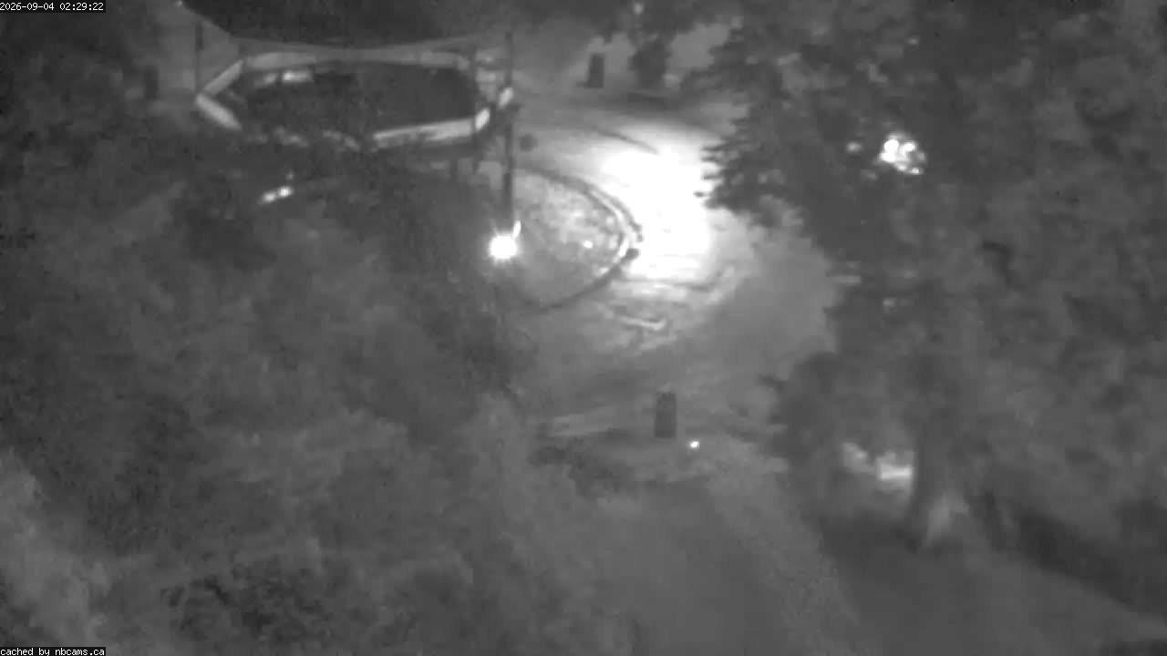 Web Cam image of Saint John (King's Square)