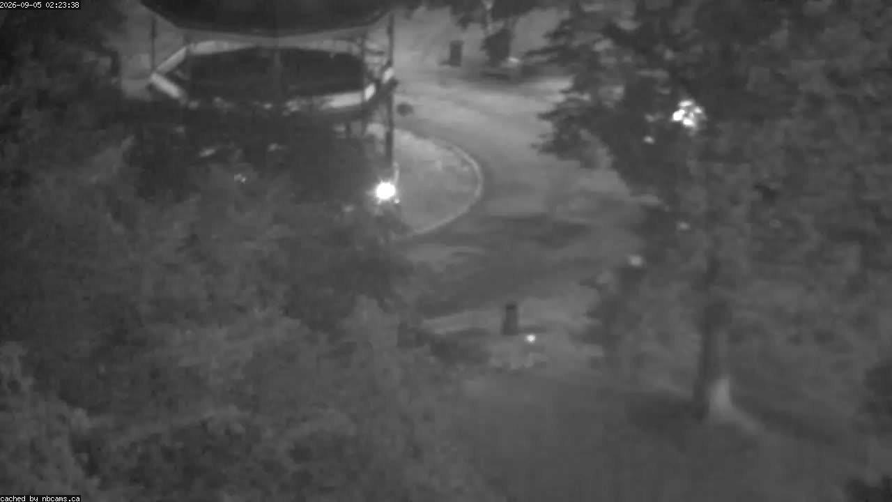 Web Cam image of Saint John (King's Square)
