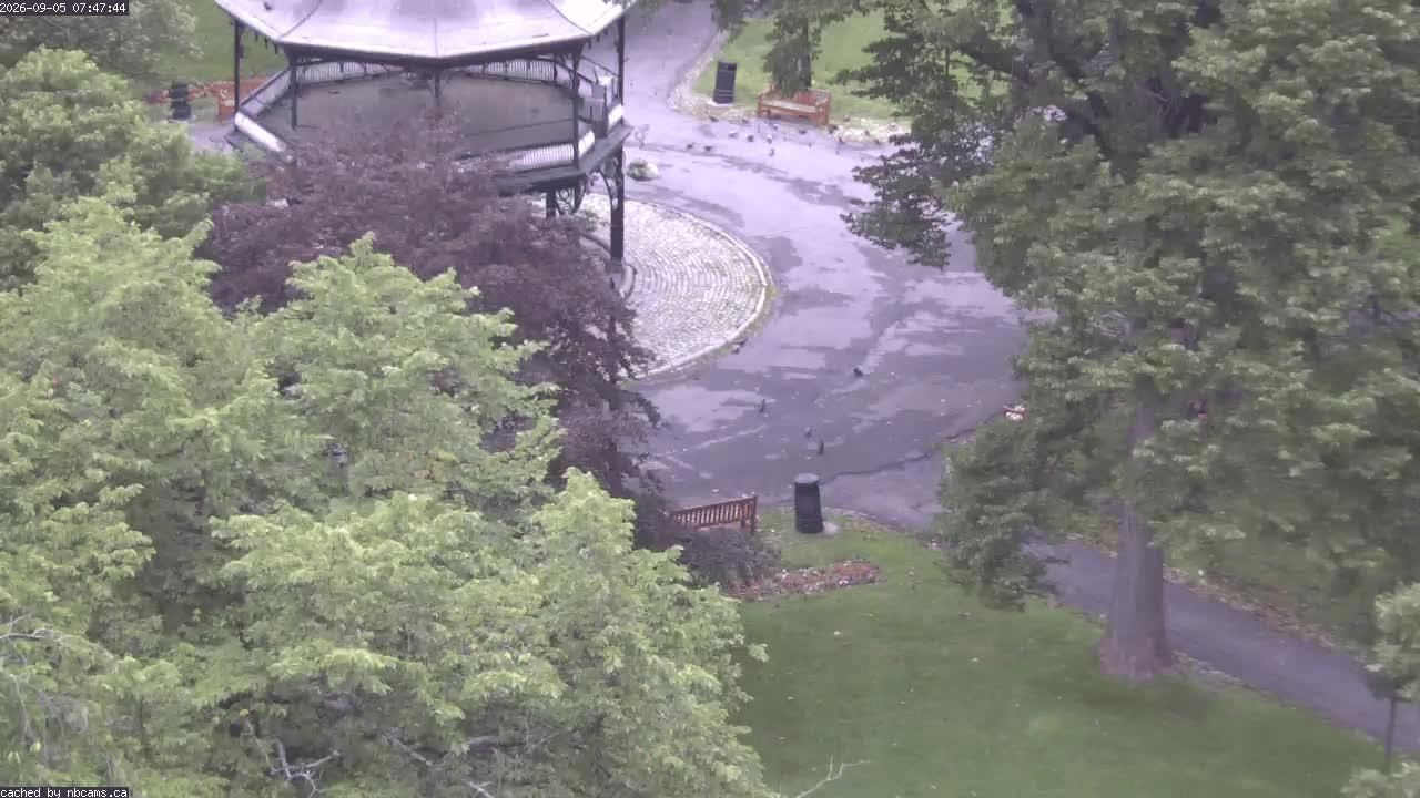 Web Cam image of Saint John (King's Square)