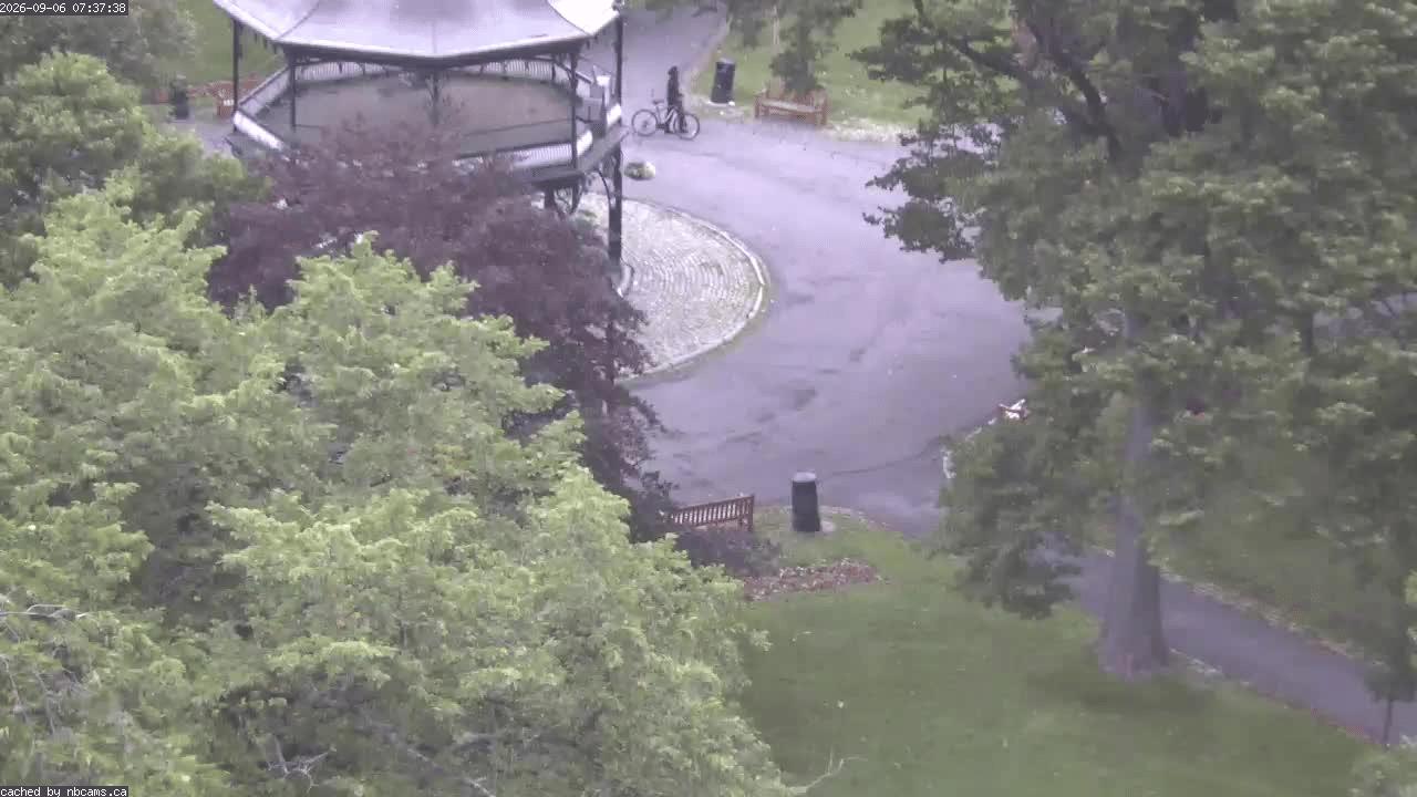 Web Cam image of Saint John (King's Square)