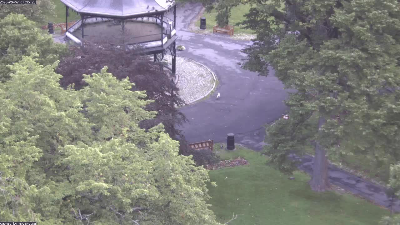 Web Cam image of Saint John (King's Square)