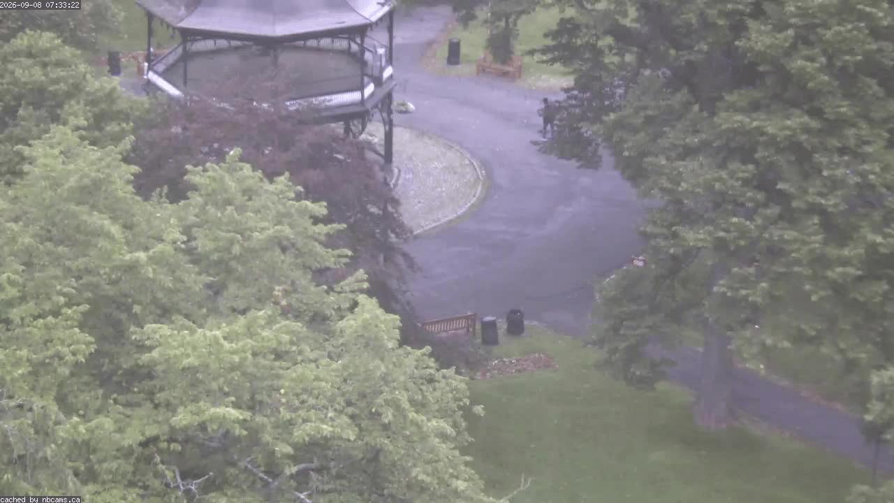 Web Cam image of Saint John (King's Square)