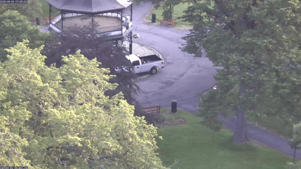 Web Cam image of Saint John (King's Square)