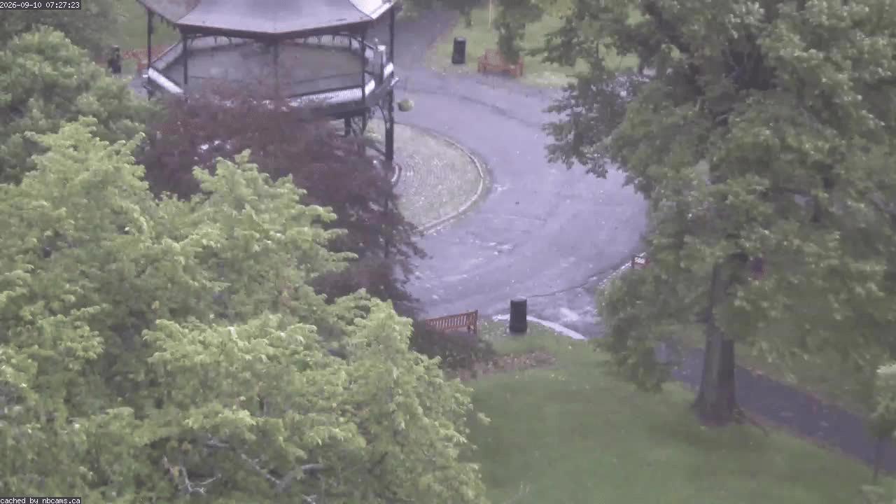 Web Cam image of Saint John (King's Square)
