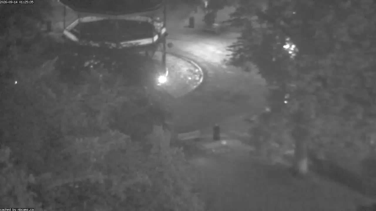 Web Cam image of Saint John (King's Square)
