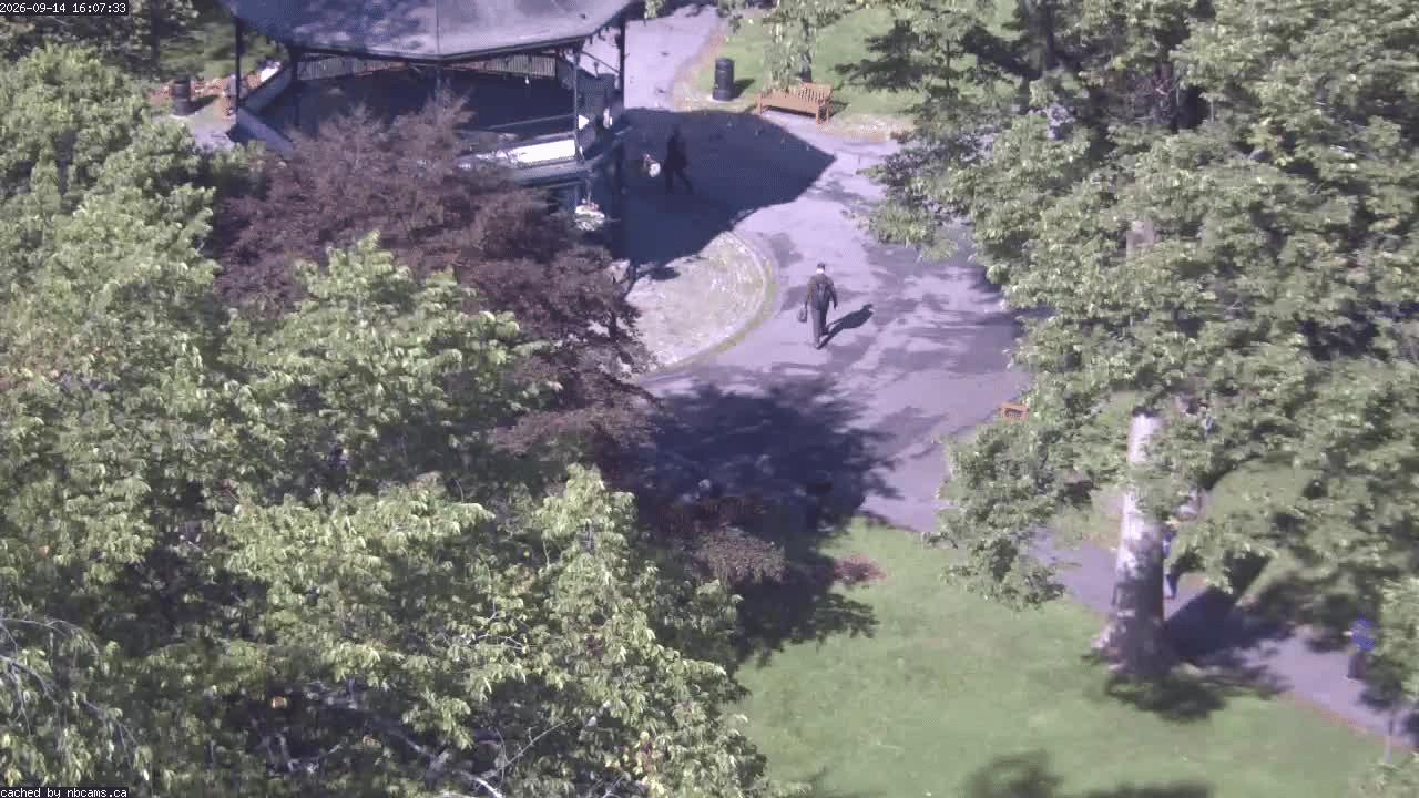 Web Cam image of Saint John (King's Square)