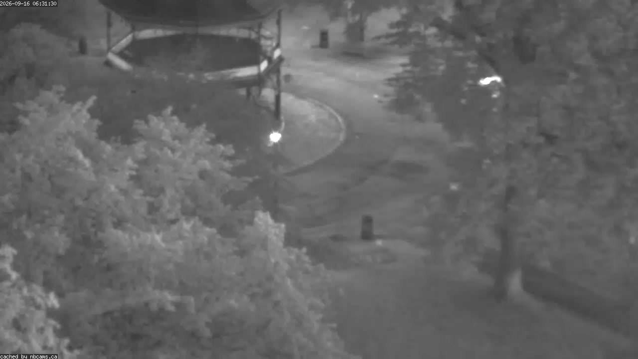 Web Cam image of Saint John (King's Square)