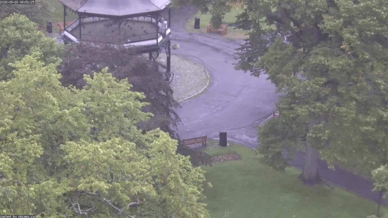 Web Cam image of Saint John (King's Square)