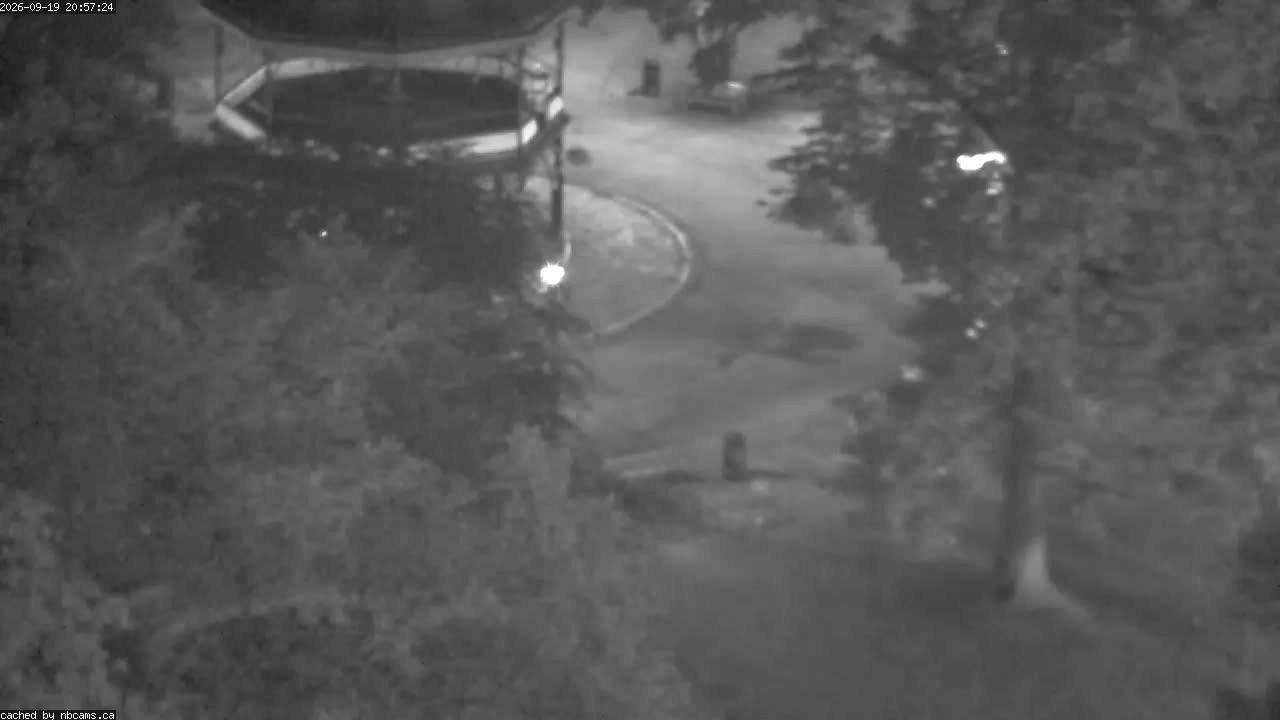 Web Cam image of Saint John (King's Square)