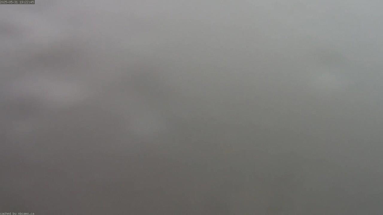 Web Cam image of Saint John (Loyalist Plaza)