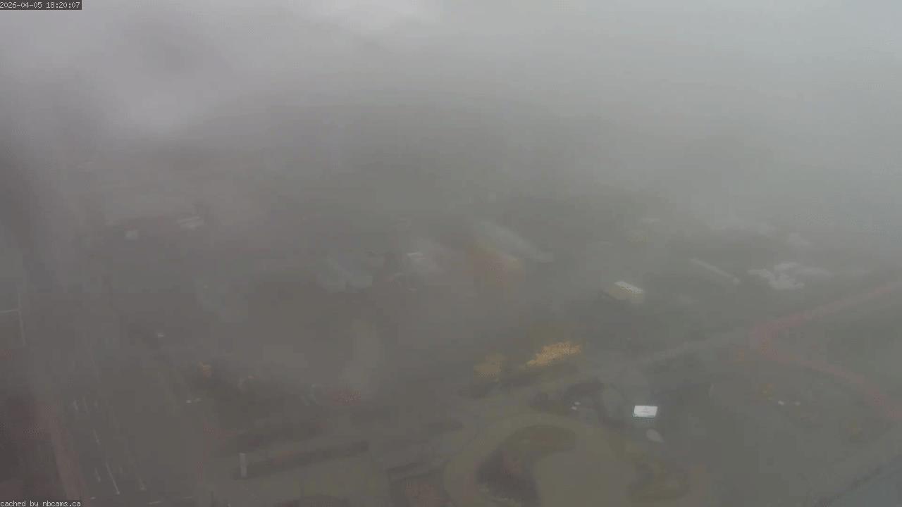 Web Cam image of Saint John (Loyalist Plaza)