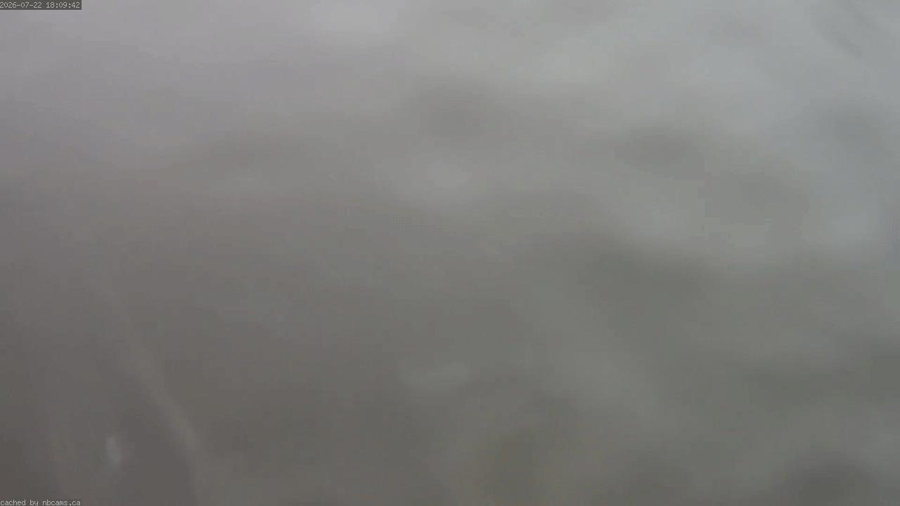 Web Cam image of Saint John (Loyalist Plaza)