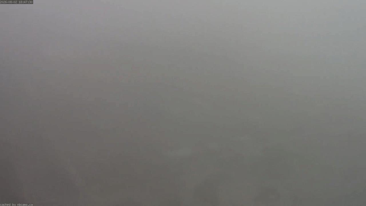Web Cam image of Saint John (Loyalist Plaza)