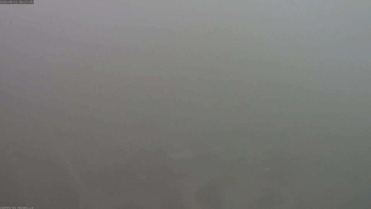 Web Cam image of Saint John (Loyalist Plaza)