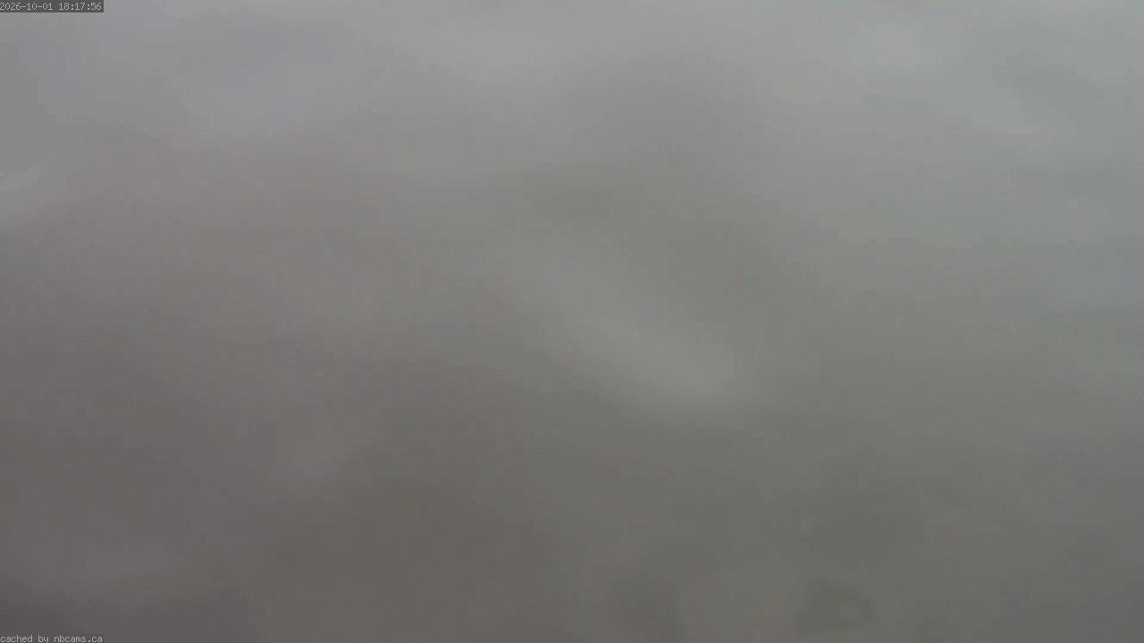 Web Cam image of Saint John (Loyalist Plaza)
